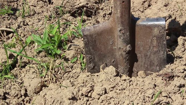 Slider shot of a dirty old shovel in dry ground with weed and excavated soil