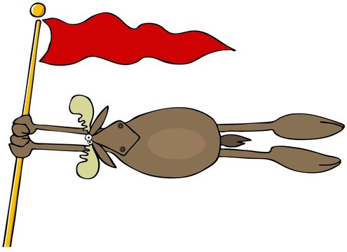 Moose hanging on to a flagpole