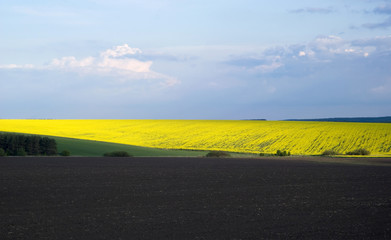 Agricultural landscape in Ukraine