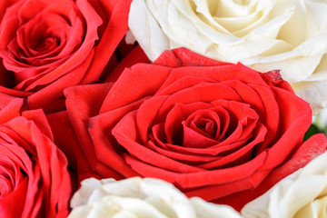 Red And White Roses Wedding Flowers Bouquet