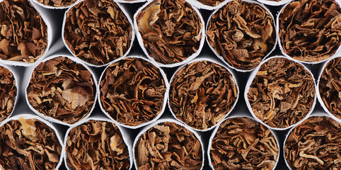 Closeup of Tobacco Cigarettes Background or texture
