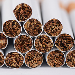 Fototapeta na wymiar Closeup of Tobacco Cigarettes Background or texture
