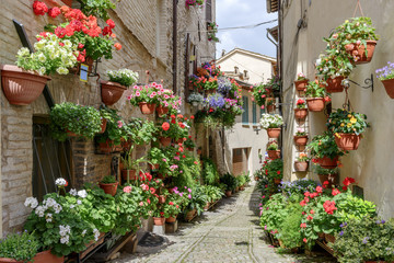 Fototapeta premium Kwiaty w bocznej ulicy Spello