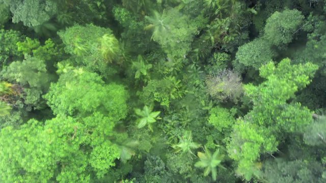 Aerial view of Barron Gorge National Park Queensland Australia