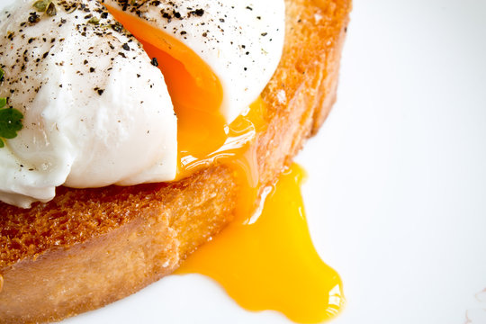 The Poached Egg On Toast