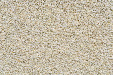 White sesame seed background, Seed background