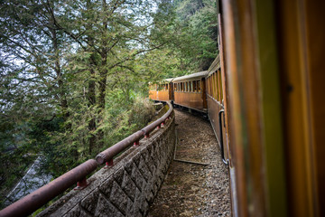 Fototapeta premium Old train on railway forest.