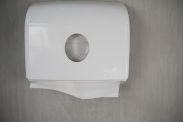 Toilet paper.