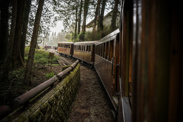 Old train on railway forest