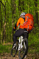 Naklejka premium Man bikes in the green forest