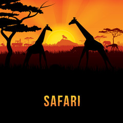 Fototapeta na wymiar Vector illustration of Africa landscape with wildlife and sunset background. Safari theme