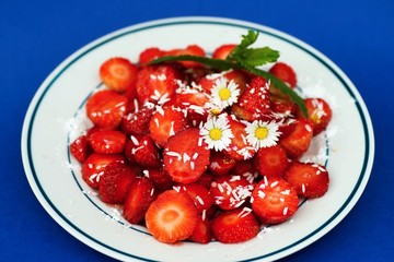 Strawberry with flowers, isolated on blue background