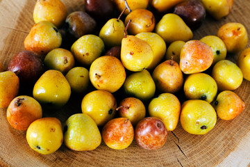 Pears on a stump