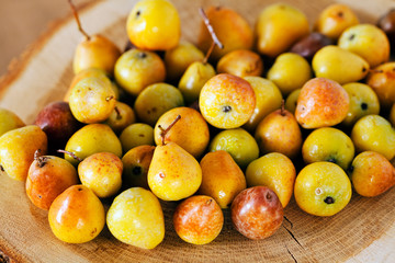Pears on a stump
