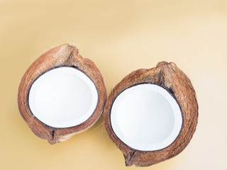 mature coconut showing inner component in demonstration for agricultural selection