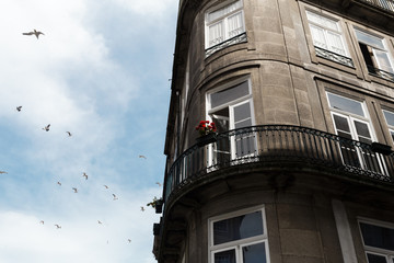 Fototapeta na wymiar The house has a balcony on which flowers grow, in the city of Porto, Portugal.