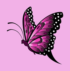Vector illustration of violet butterfly on pink, farfalla vettoriale viola su sfondo rosa