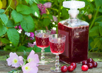 Maraschino liqueur with sour cherries in the garden