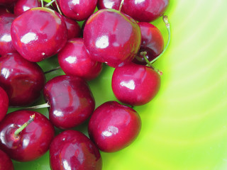 Fresh cherries on green background