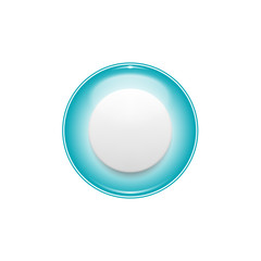 Glossy vector label or button with reflection effect