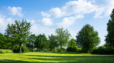 green parkland