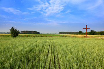 Fototapeta na wymiar Krzyż między polami.