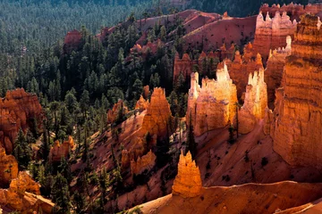 Wall murals Rood violet Scenic view of Bryce Canyon Southern Utah USA