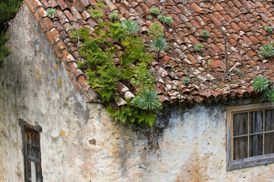 Background ornament terracotta red tiles on roof in Tenerife, Canarian island