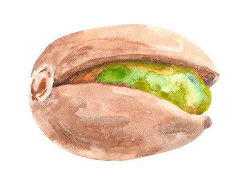 pistachio nut on a white background, isolated, watercolor illustration