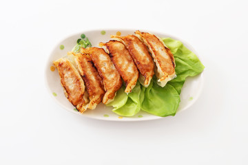 美味しそうな焼き餃子