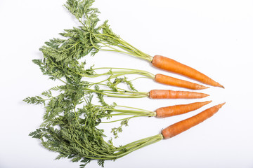 Five fresh carrots, view from the top, isolated on white background