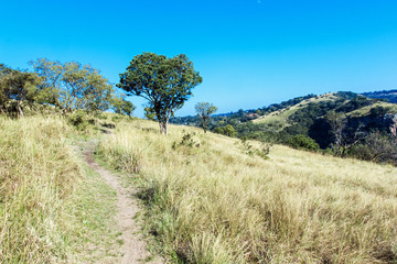 Obraz premium Hiking Trail Path in Nature Reserve with Blue Sky