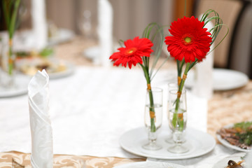Red gerbera