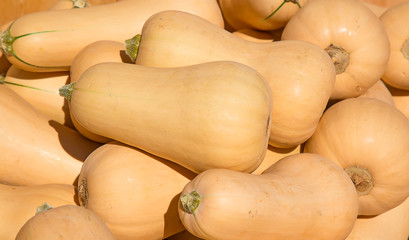 Colorful pumpkins