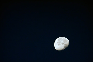 Obraz premium Half moon