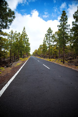 Mountain landscape on tropical island Tenerife, Canary in Spain.