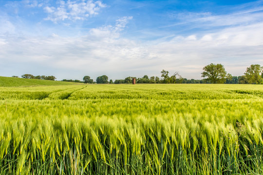 0360 Landschaft am Niederrhein