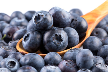 Blueberries on white background