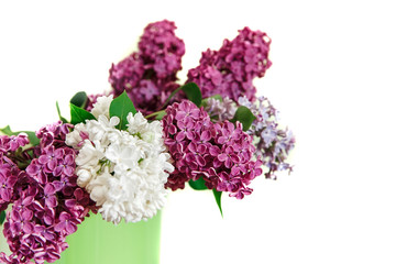 Two Branch of White and Purple Lilac in the Green Pitcher.White Background