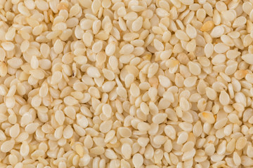 Closeup of lots of sesame seeds
