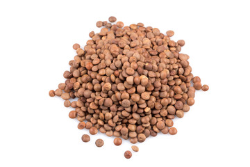 Lentils Isolated on White Background