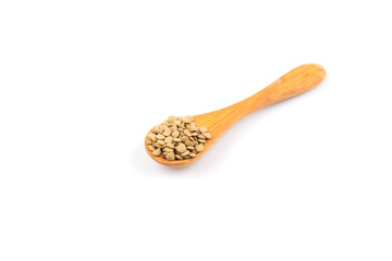 French green lentils in bowl