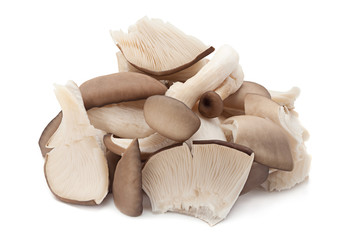 oyster mushroom on white