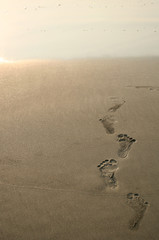 human footprints and beach