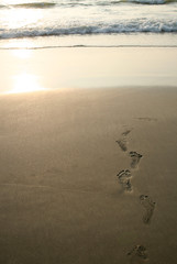 human footprints and beach