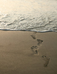 human footprints and beach
