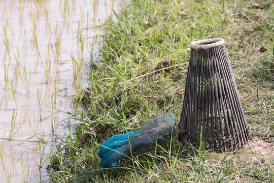 Fishing trap in paddy field