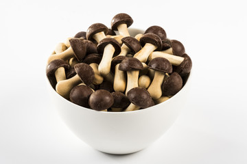 original cookies in the shape of mushrooms with chocolate hat