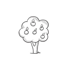 Fruit tree sketch icon.