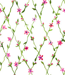 watercolor illustration of a flowers.